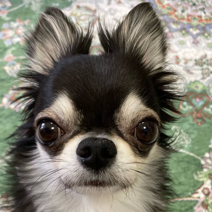 06fe2478 17f9 4cf4 857d 4c23e5ed7e06 1651879095492