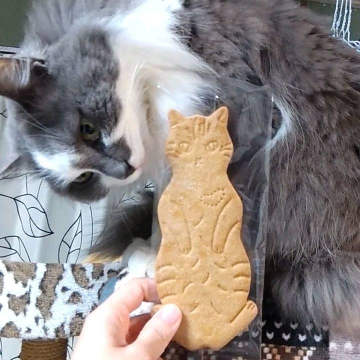 06fe365d 13a1 4c27 a120 21e7b50bf539 1679311397224