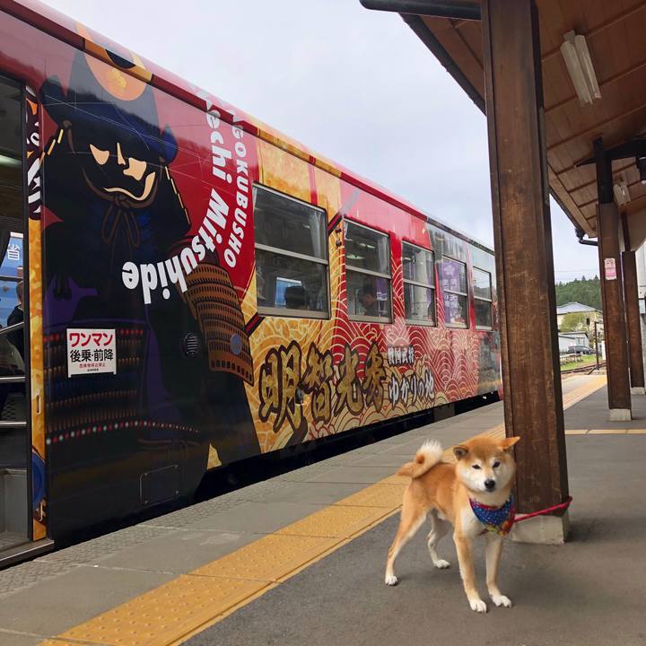 06fe561f 18c3 483a 899a e75bb365c346 1556438988510