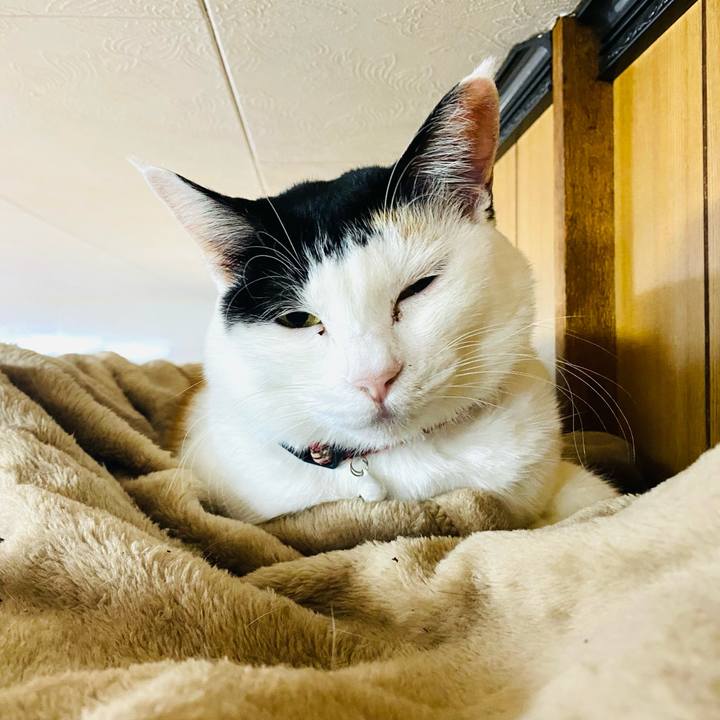 06feaef8 0f23 409e 8211 6109890e509b 1671660297244