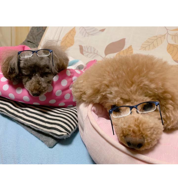 06ff06d3 86e4 49a9 8da3 a9e52b0a707d 1601112521961