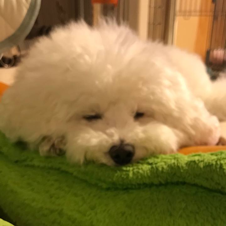 06ff55ef 8ae0 4cf6 b963 9d85e38650c9 1539942879763