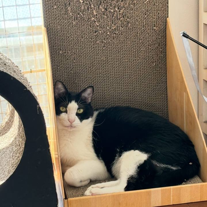 06ffb802 75c6 4f52 8282 2f4af1d64438 1771305719507