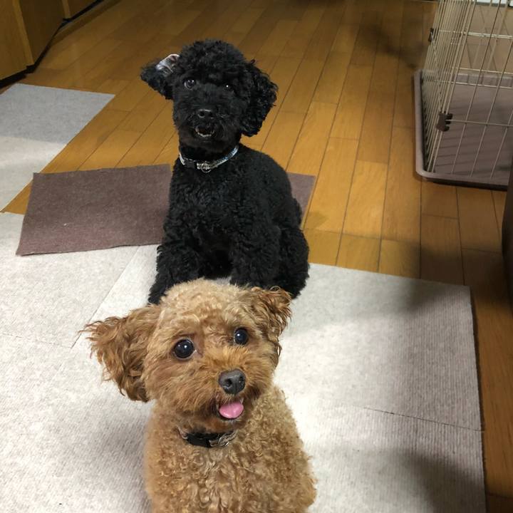 06ffc714 bf81 4809 ae23 bb4f309a5daa 1537139902821