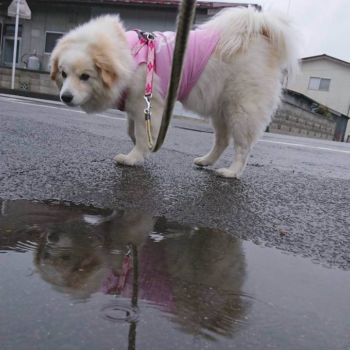 06fff330 dcda 4a58 9a8d 5308276234bc 1524000443765