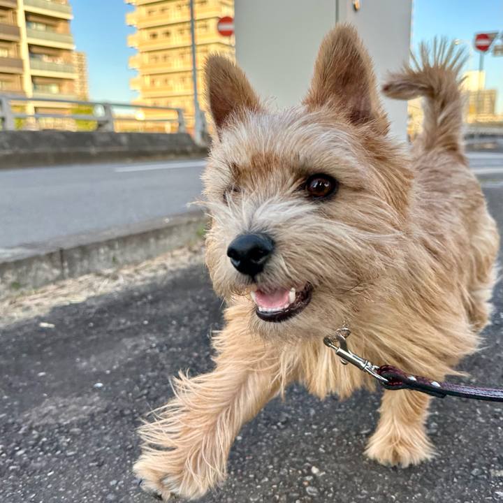 070017b1 526c 4cc6 be5e 1376605355f1 1732374858249