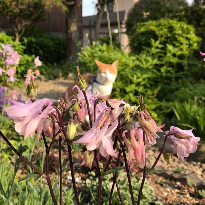 070052b2 9a5d 4f7f ba73 aa9bd6db1c39 1525504881628