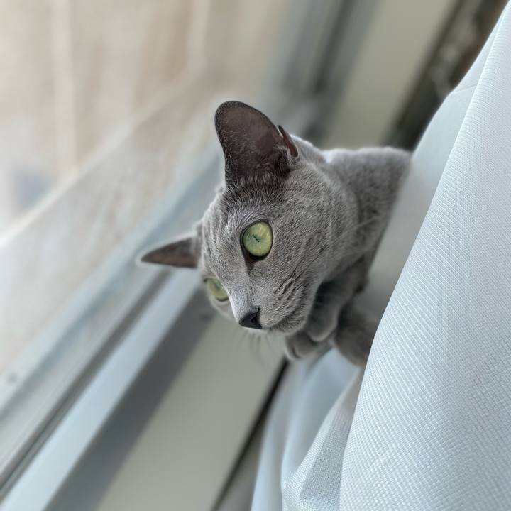 07006af3 058b 41ea a14b 5cd94a9f81da 1666324008249