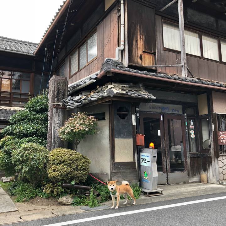 070076d4 75fd 4b86 a7f0 a5ab61b8fc98 1540039621148