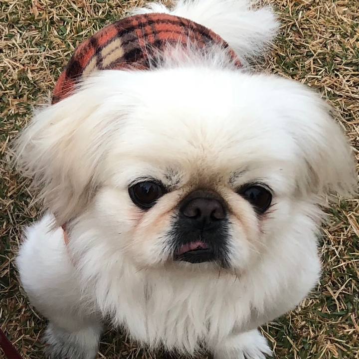 0700b4c1 684c 4d48 bfe9 df0c61105db4 1543623620134