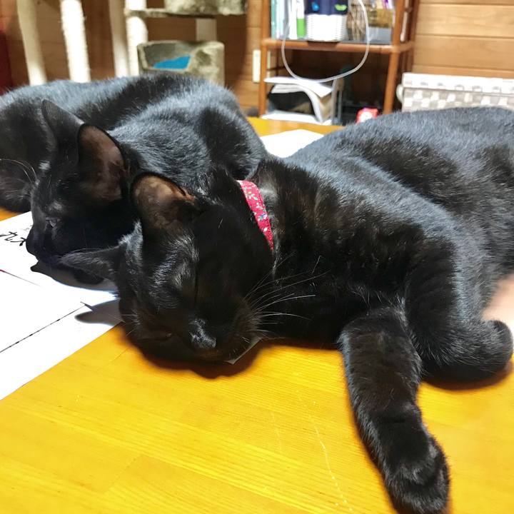 0700b9aa ba81 4e9c a7bf 6c8a512bdbd9 1532002404381