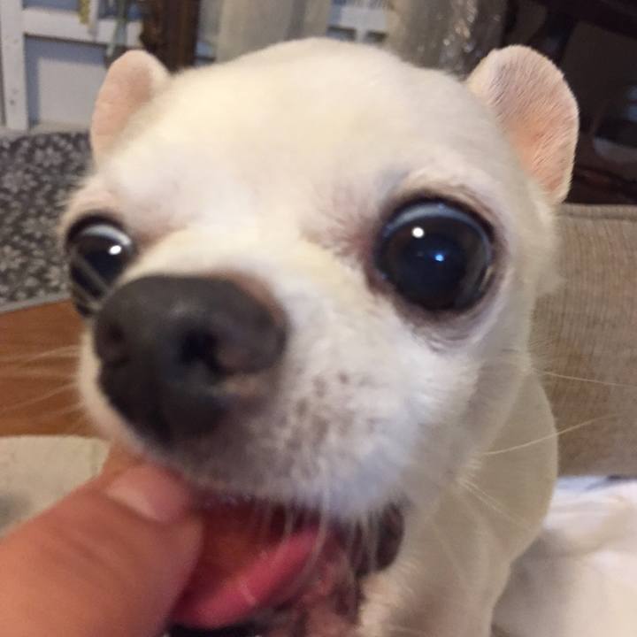 0700c169 6c32 4fa5 8d83 85c3f1fde466 1532351299131