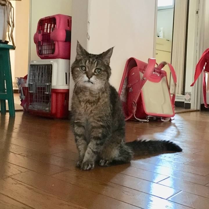 0700caaa 668b 470a 9879 fed7e6e57a7d 1533852181409