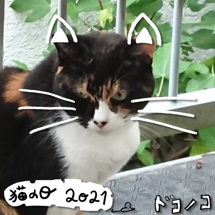 0700d034 2822 4fb2 954a 0acf6119fa0e 1614048004311