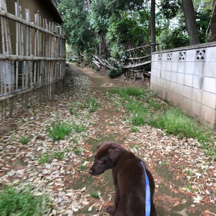 0700d3ce f8a7 4fa1 a5fc 86702ba86fdf 1555708068628