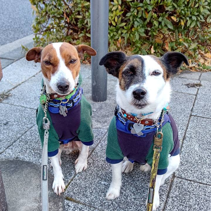 0700deb5 6ef8 484e bc7a 926841c2a67f 1643065700307