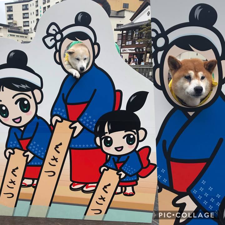 0701430d 2040 4ae3 946c 6ef192d79f79 1568609347859