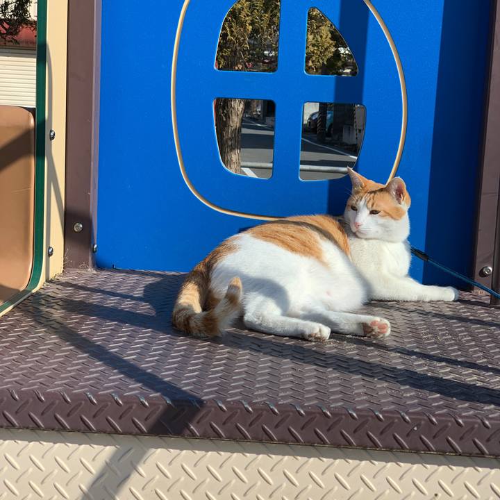 0701458b 187b 4cf3 af13 a04af49325d5 1582504152901