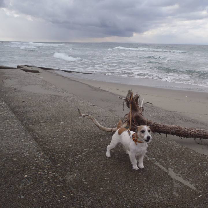 070175d6 08f5 475a 945c fe9bc708abc5 1545742528425