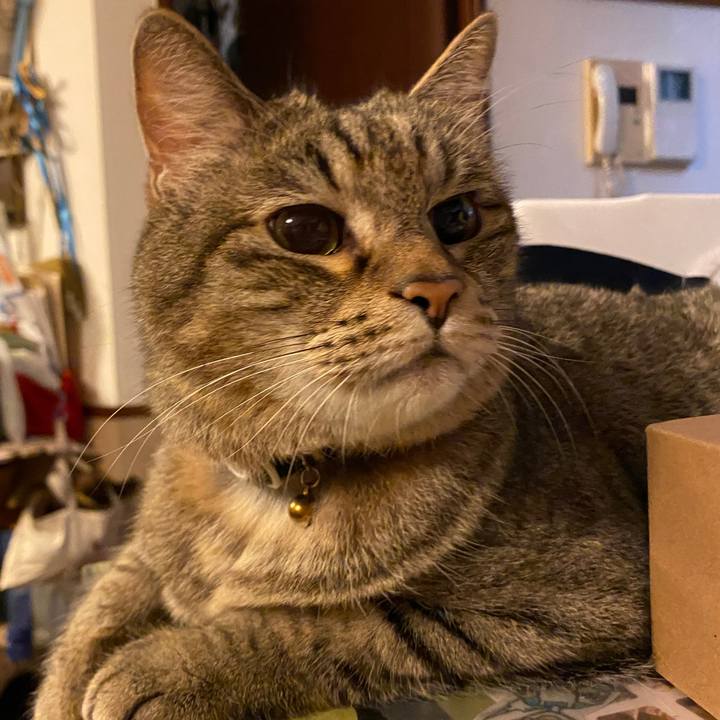 0701928c 4330 4c5f 99ae 6076813f7822 1697356028791