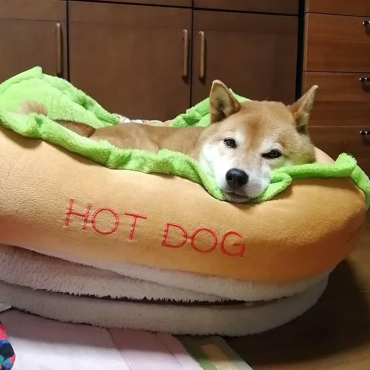 070198c7 c391 4632 99b6 9b619b081996 1681916891220