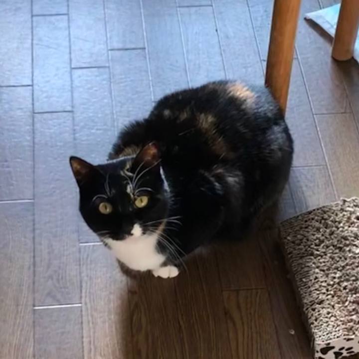 0701dc7f c3c4 4d6d bd4e d77588a59164 1580970878329