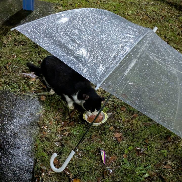 07021f55 c21d 4639 a639 bd82f3d91253 1749908080092