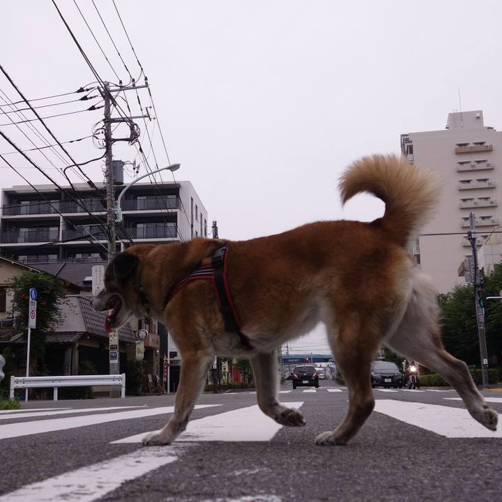 07023bbf 8ab5 4d7a a3c7 fedd9d41748b 1529724373458