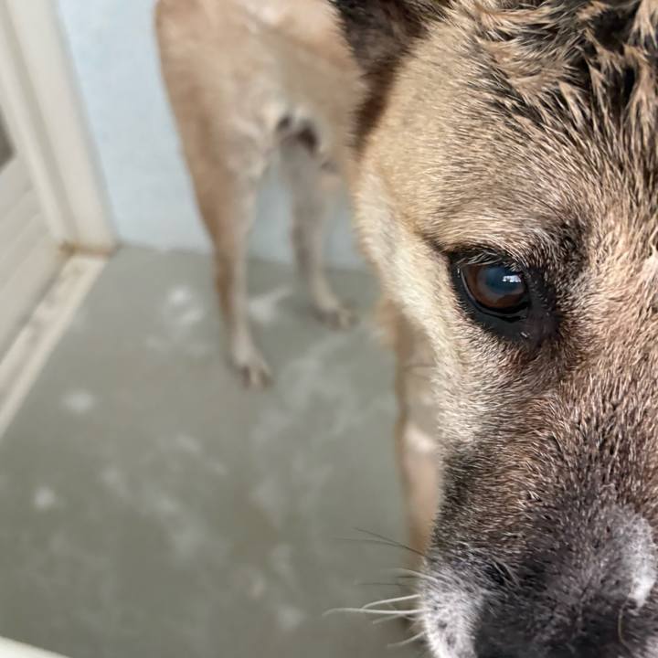 07024e28 f4ce 49a9 b8ef 84ced6c57d8d 1752925128752