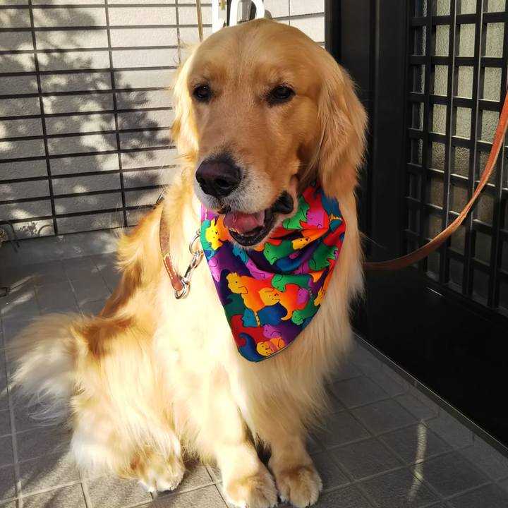 07025b36 3021 43c7 af79 3ef81468db7a 1528852625429