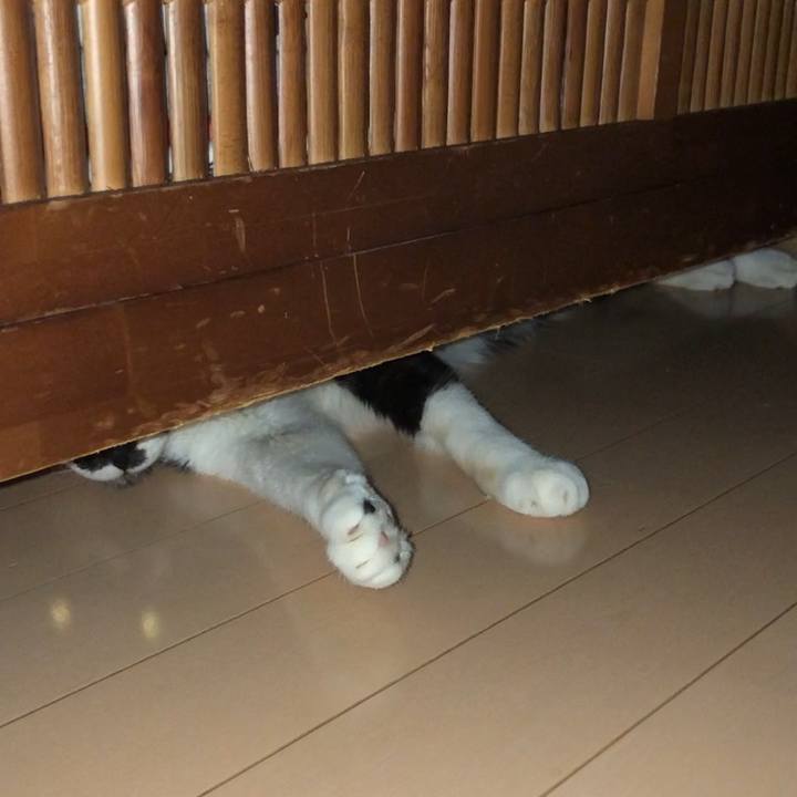 07025f00 6548 4e98 9ec0 f84a46388ed7 1598717308397