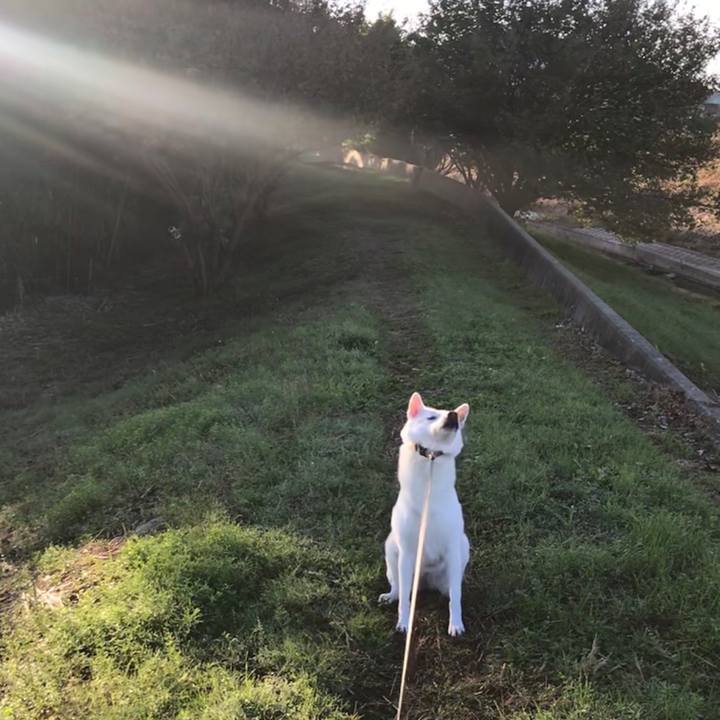 07026b0e 3607 449d af1d 3bfdbc4900f0 1540679058685