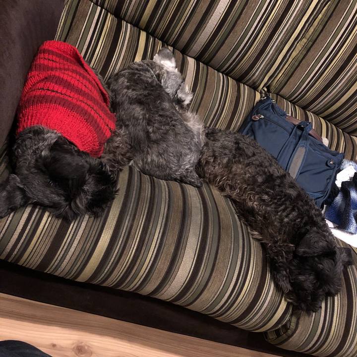 07028220 e111 4f99 9074 9325fd29c638 1547372916347