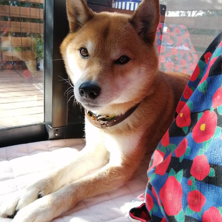 07028e1f 08dd 4ad5 8cb1 bf51586e40e6 1611535300744