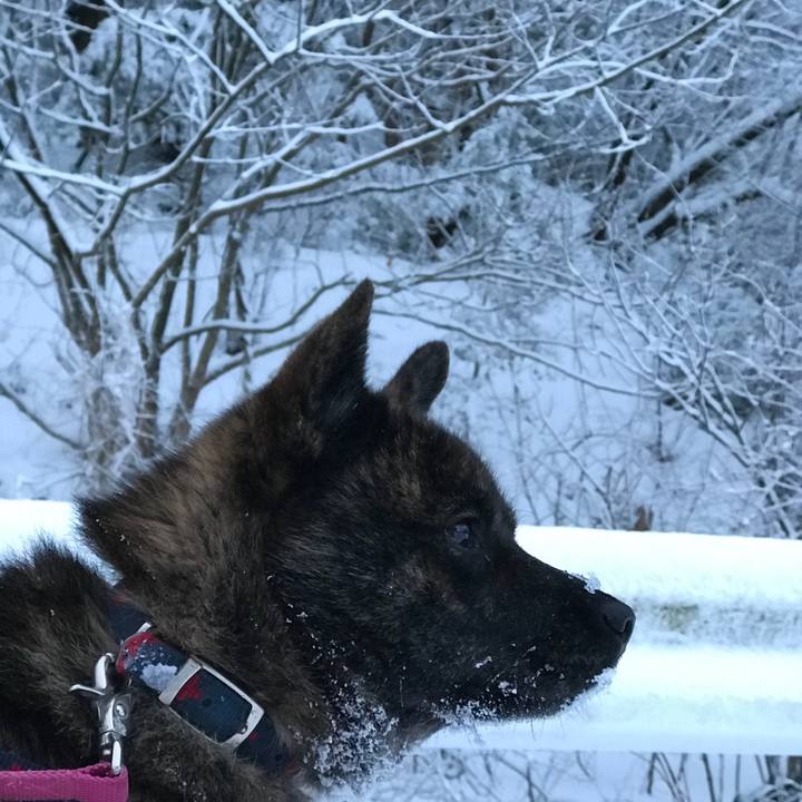 0702976f 3ef6 4853 a9f1 b8351551935c 1517956465773