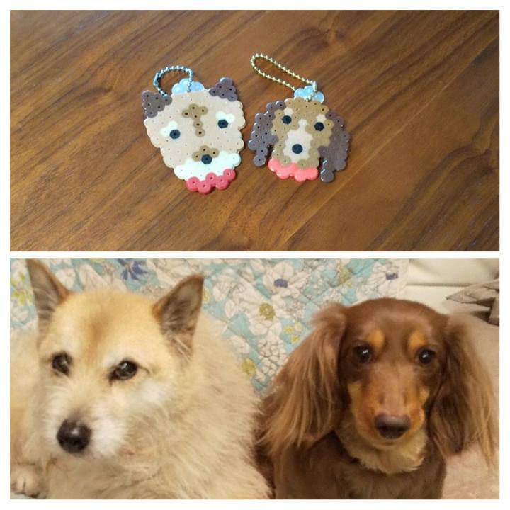 0702a9ad a1f1 42be 89cf f33769505858 1585889114084