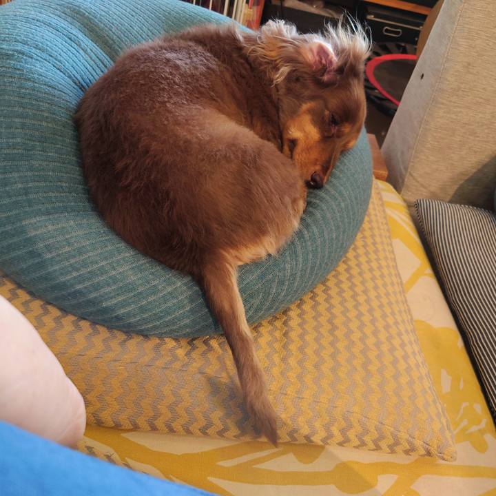 0702b9fd 45fb 4d94 b338 9e1553d4d62c 1629706751137