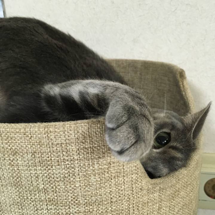 0702d9d8 87d9 4f74 b0ab de63e45bb315 1598783067545