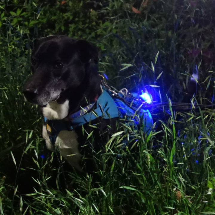 07033061 f721 4a66 9348 4a43f86dc1e0 1713868772516