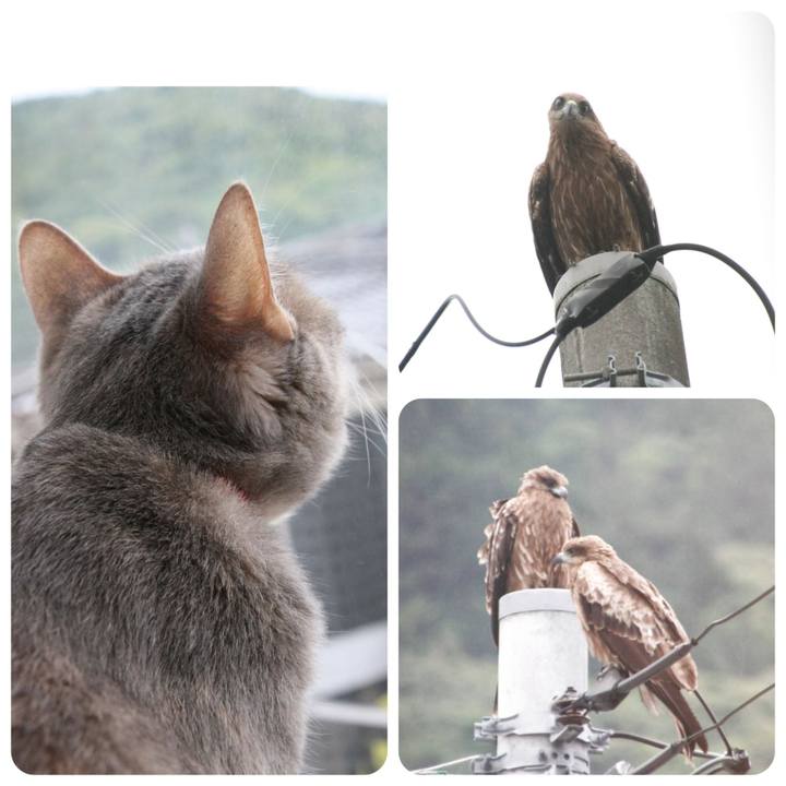 07034aea 6a80 4cfa 9165 56016f950107 1527292261722