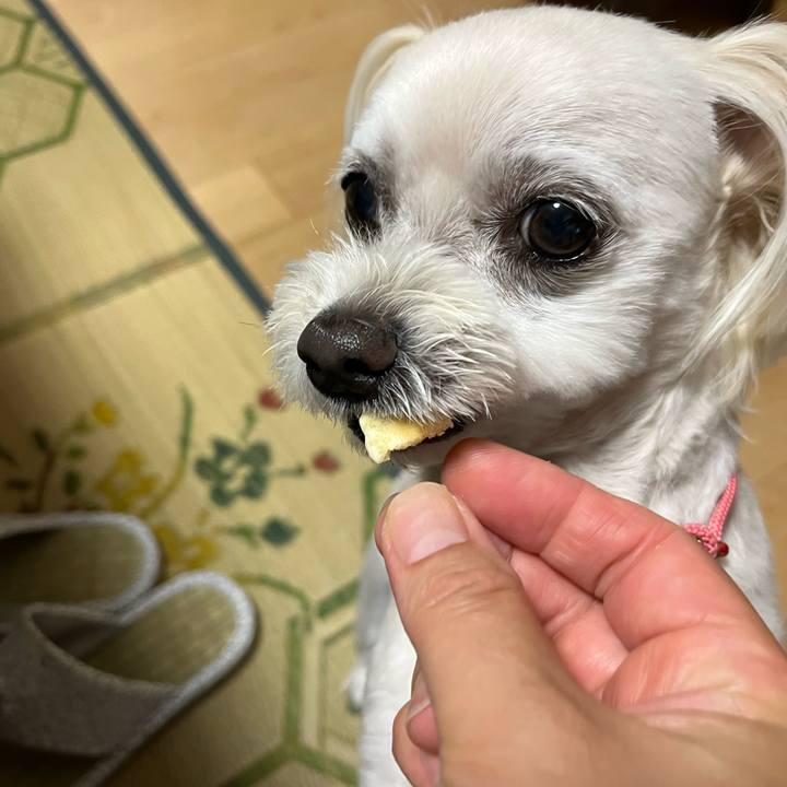 07035a13 6e6f 44b5 81f5 4cccf9bb380a 1686458800049