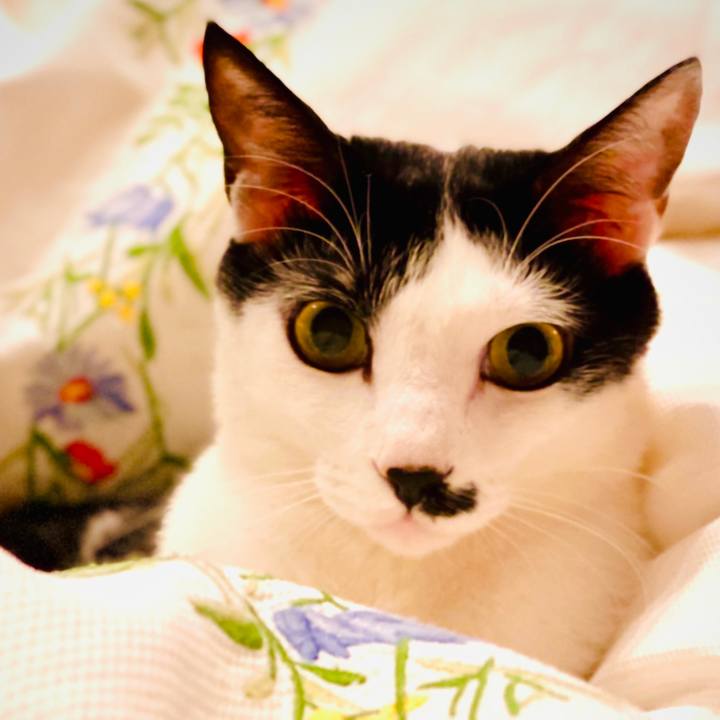 070393f1 a5ef 4984 8813 f79abb8c8b28 1577669609377