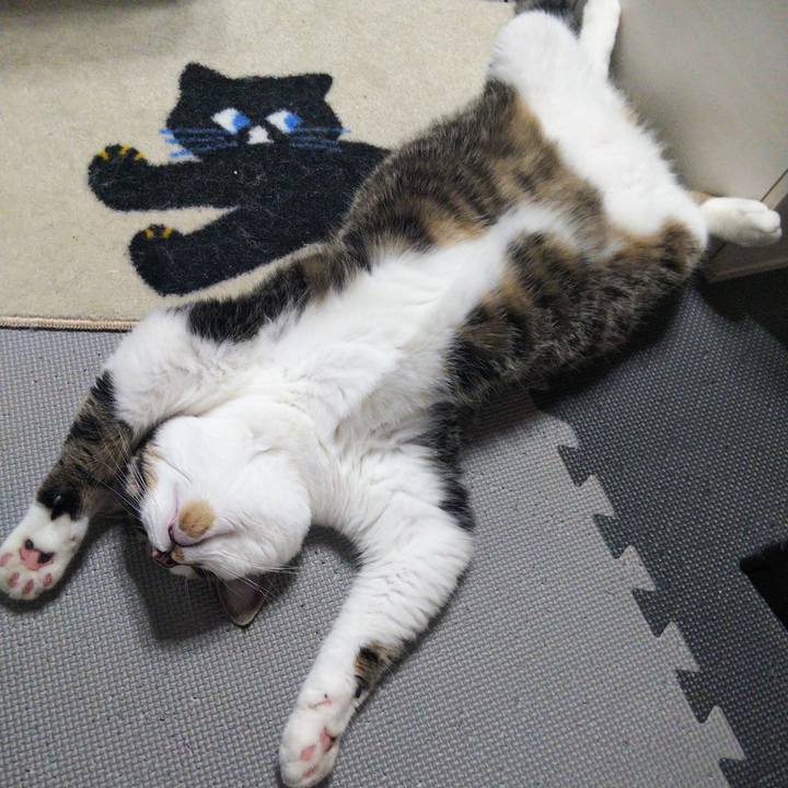 07039e1e 7812 420b ab58 4e3760e0d64a 1626523580839