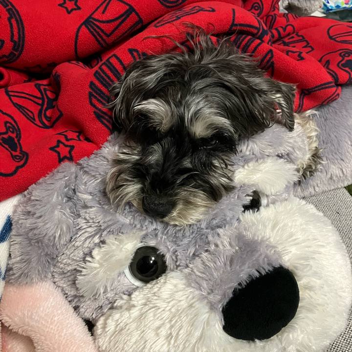 0703d068 c790 438a 957a 4b8798bf10e6 1713790835035