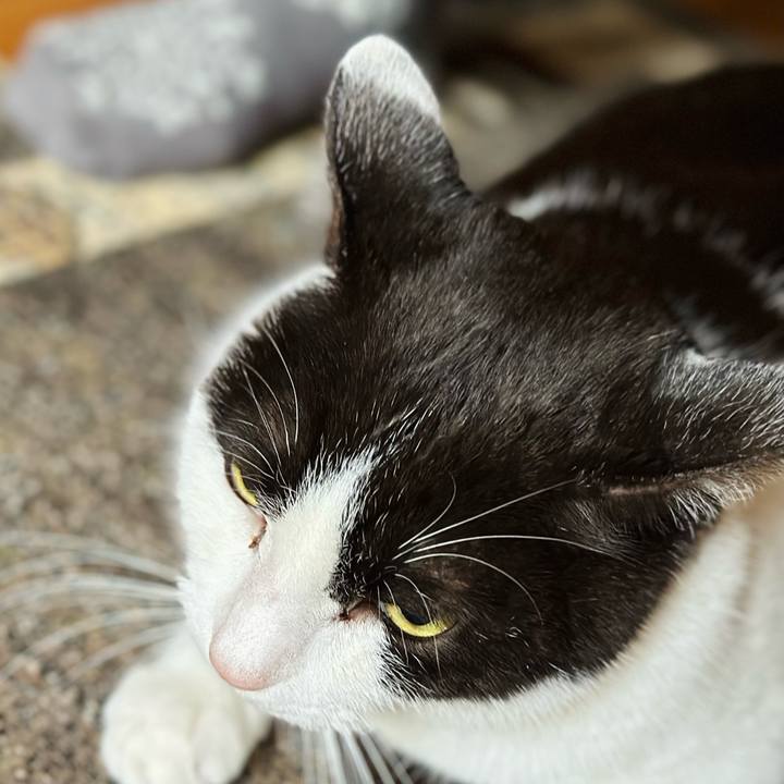 0703d5f4 2865 4c89 9527 783b77769d74 1677290537519