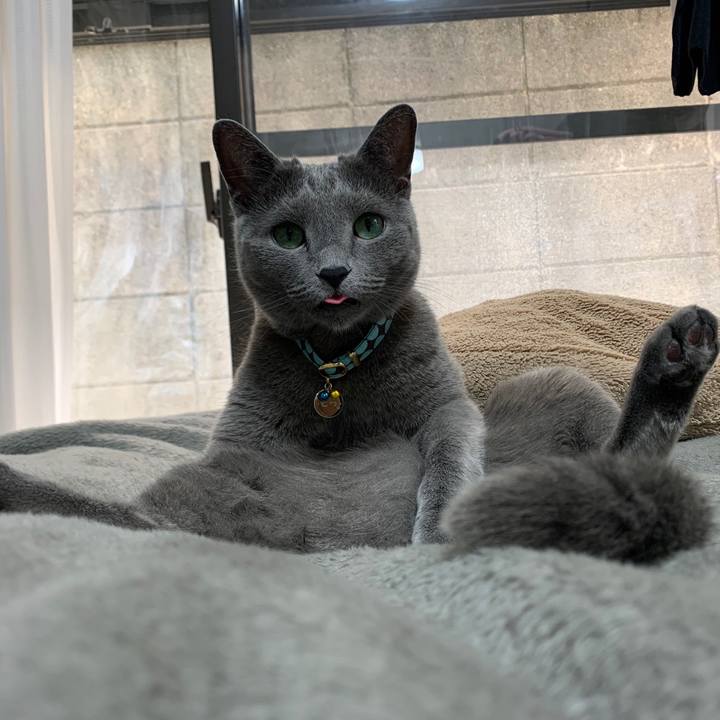 070429b7 81ed 4d63 9a6f 468e2dd83ecb 1652243817592