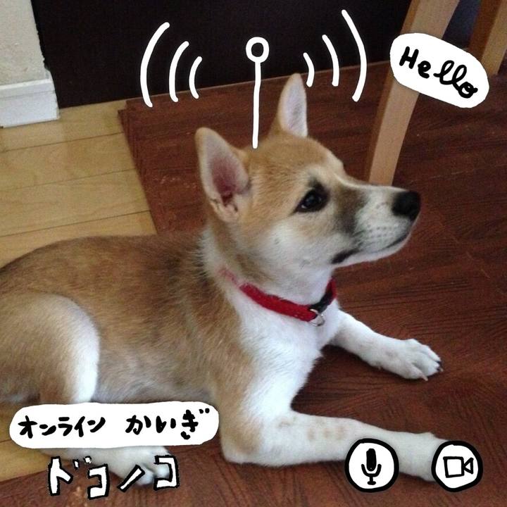 07042a78 084e 470e bd18 e92fd36dc5dd 1590799110604