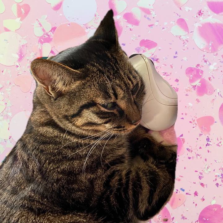 07043796 76f5 469a 9e68 df5dbe91b7e5 1592974645485