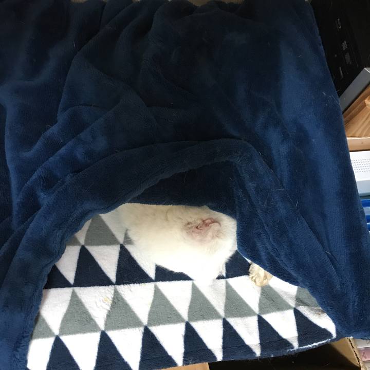 070445a9 1c22 4a1c 97de 8906dcd3a262 1538835196663