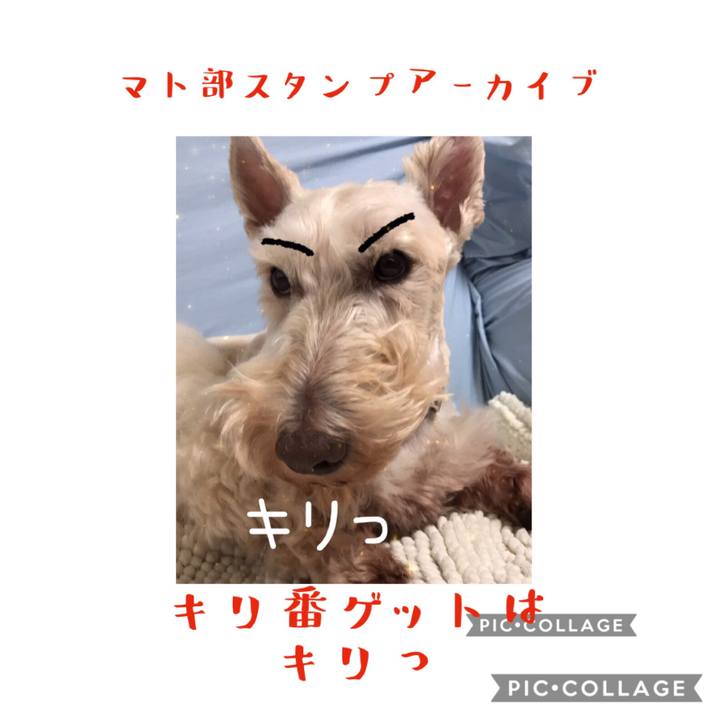 07044f77 a7f9 40cb 9844 da3d489482c6 1578488700383